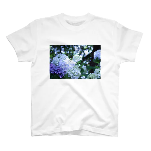 木漏れ日と紫陽花 Regular Fit T-Shirt