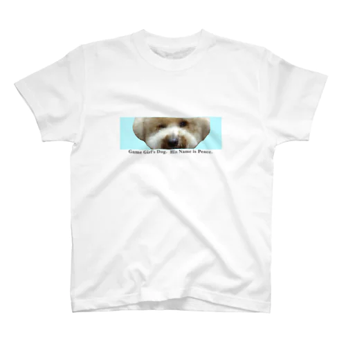 Wink Dog ミズイロ Regular Fit T-Shirt