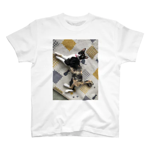 三毛猫① Regular Fit T-Shirt