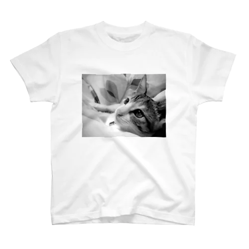 三毛猫のひめ 1 スタンダードTシャツ