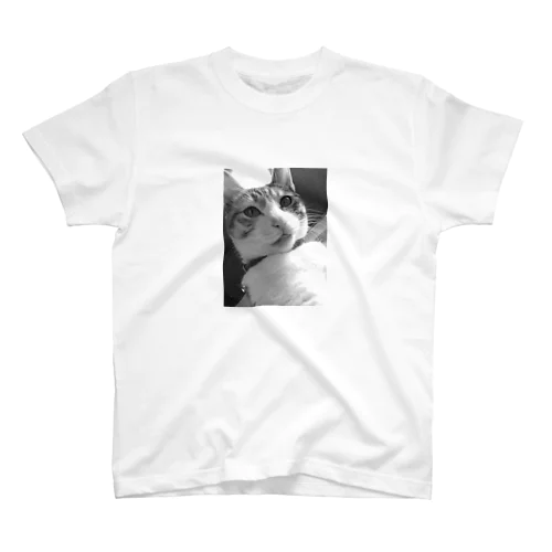 三毛猫のひめ　4 スタンダードTシャツ