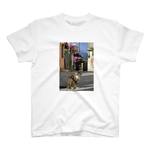 イタリアの空と猫 Regular Fit T-Shirt
