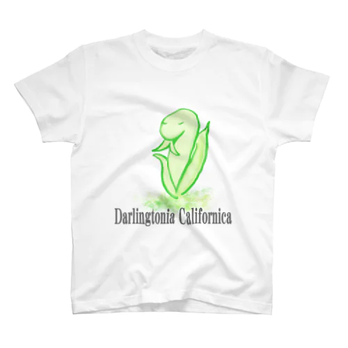 Darlingtonia Californica スタンダードTシャツ