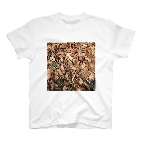 春の落葉 Regular Fit T-Shirt