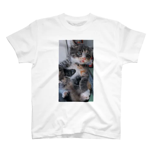 のらねこ君 スタンダードTシャツ