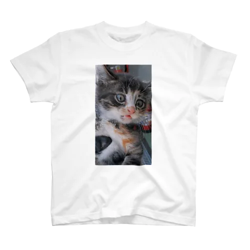 のらねこ2 スタンダードTシャツ