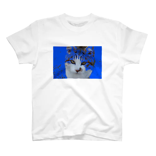 BLUE HOKU Regular Fit T-Shirt