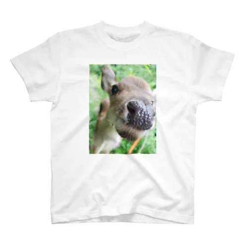 Wild Bambi T-shirt Regular Fit T-Shirt