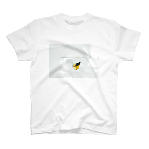 Betta Regular Fit T-Shirt