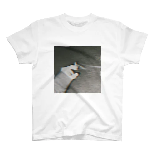 smoke Regular Fit T-Shirt