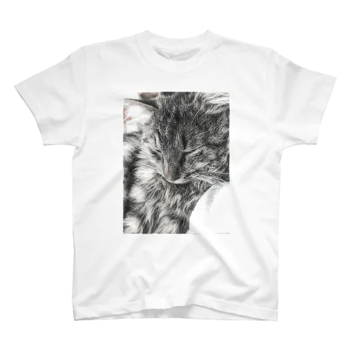 猫の のるちゃん Regular Fit T-Shirt