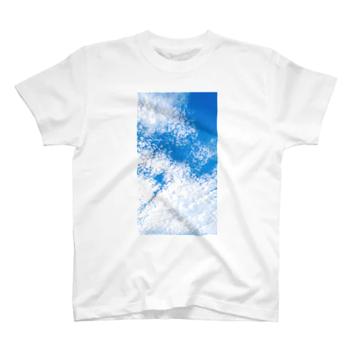 Scale cloud. 티셔츠