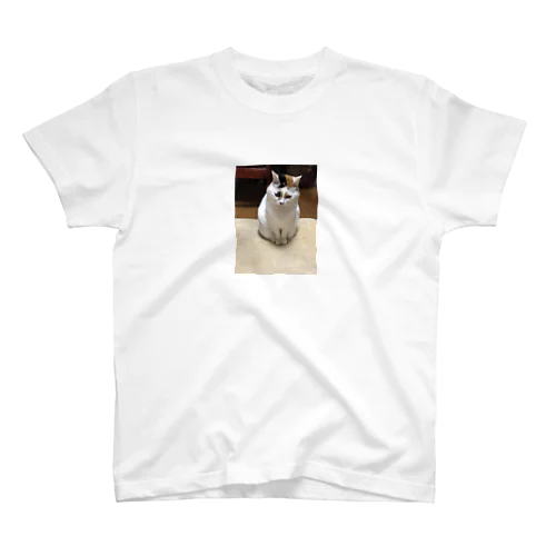 目付きの悪い猫さんTシャツ その2 Regular Fit T-Shirt