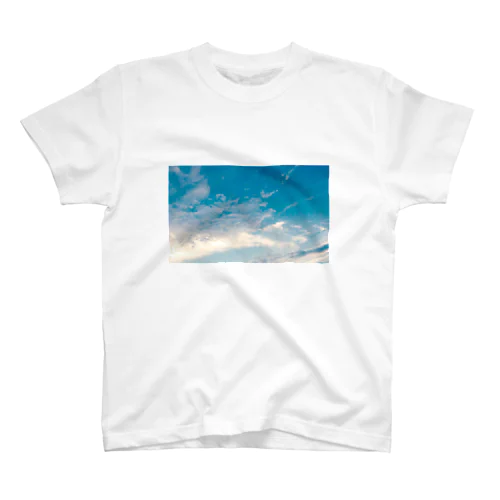 鮮やかに、空 スタンダードTシャツ