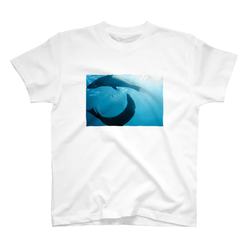 海を泳ぐアザラシ2 スタンダードTシャツ