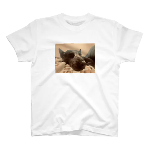 Sleepy dog  スタンダードTシャツ