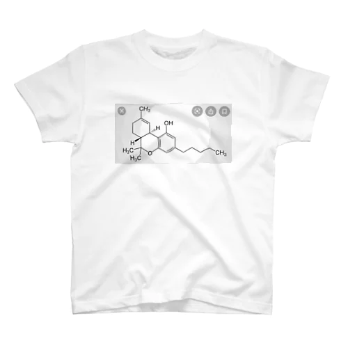 THC Regular Fit T-Shirt