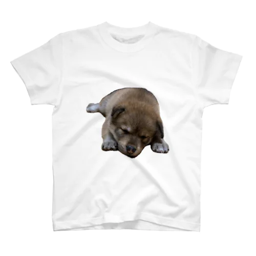 ぷーちゃん(雑種犬) Regular Fit T-Shirt