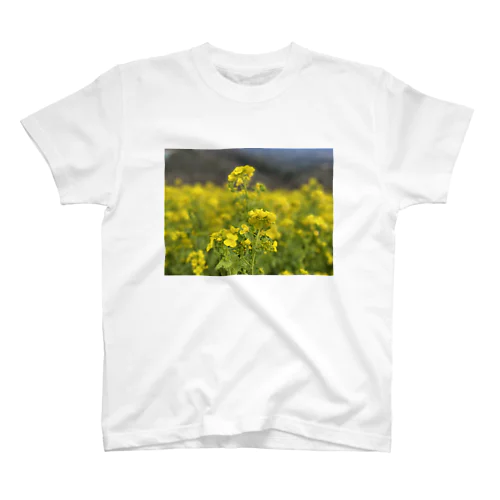 菜の花 スタンダードTシャツ