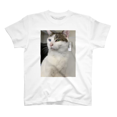 白猫オッドアイしろちゃ2 Regular Fit T-Shirt