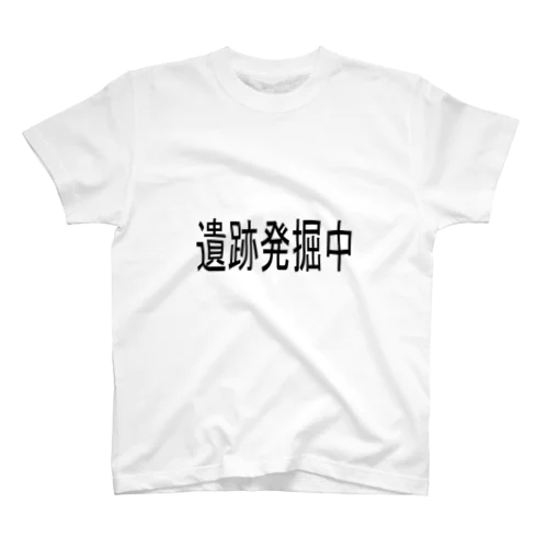 遺跡発掘シリーズ スタンダードTシャツ