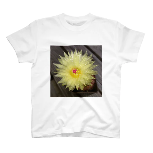 サボテンの花 Regular Fit T-Shirt