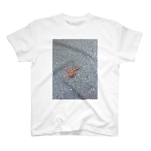 道端のザリガニ Regular Fit T-Shirt