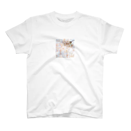 春桜 スタンダードTシャツ