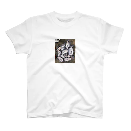 石鯛の神様 Regular Fit T-Shirt