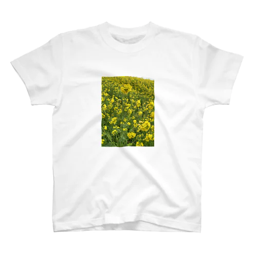 菜の花 スタンダードTシャツ