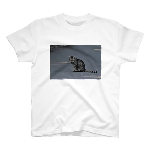 渋みのある猫 Regular Fit T-Shirt