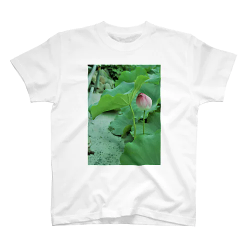 蓮の花 スタンダードTシャツ