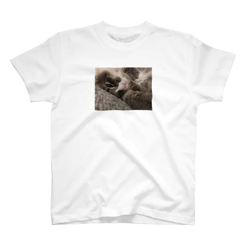 ノルウェージャン　フォレストキャット　ハルちゃん　猫 Regular Fit T-Shirt