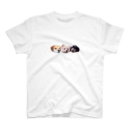 ころちょこぽんた Regular Fit T-Shirt