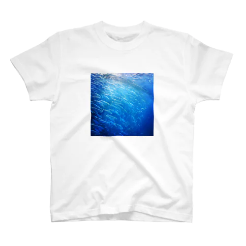 sardine tornado photo Regular Fit T-Shirt