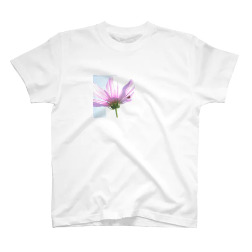 cosmos and ladybug スタンダードTシャツ