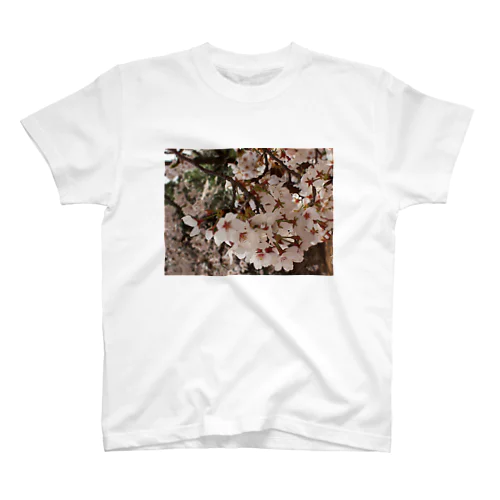 桜　サクラ　cherry blossom DATA_P_152　春　spring Regular Fit T-Shirt