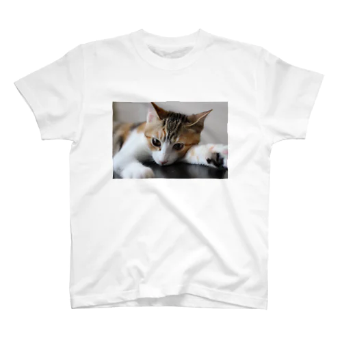 三毛猫ネネ Regular Fit T-Shirt