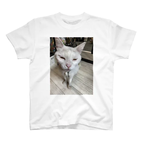 Neko Regular Fit T-Shirt