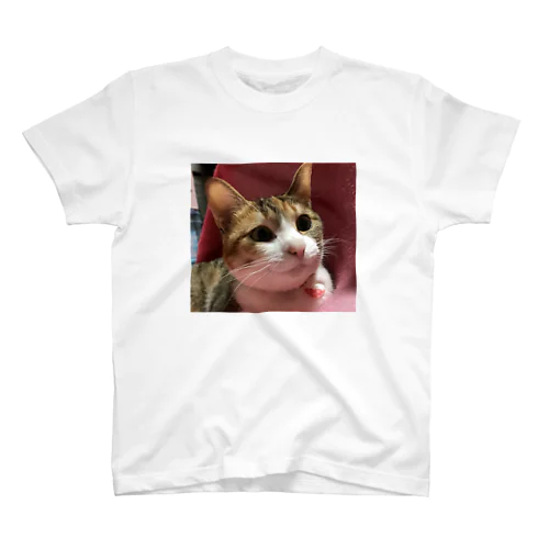 三毛猫のひめ　8 スタンダードTシャツ