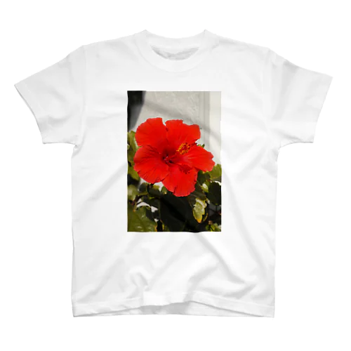 Hibisus スタンダードTシャツ