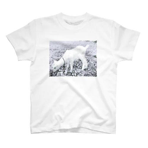 草を食む Regular Fit T-Shirt