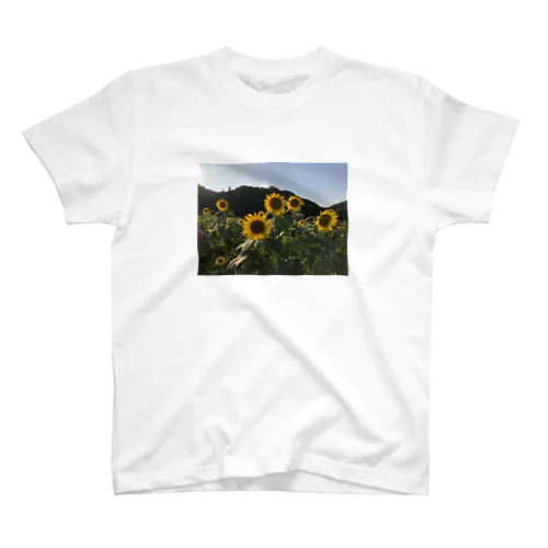 ヒマワリ🌻 スタンダードTシャツ