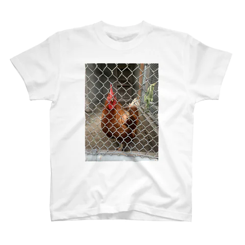 free bird!!! Regular Fit T-Shirt