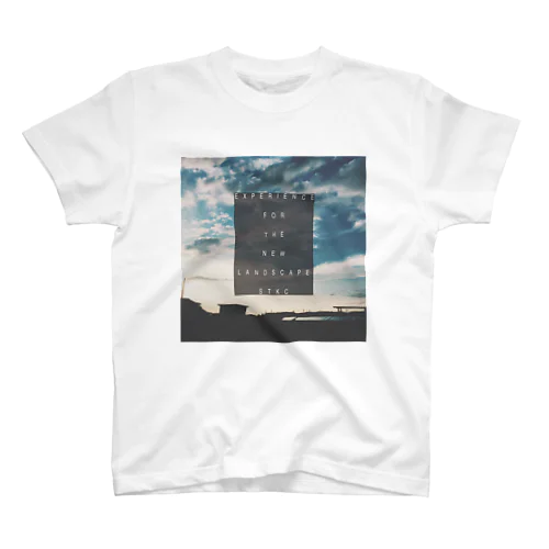 Experience for the New Landscape スタンダードTシャツ