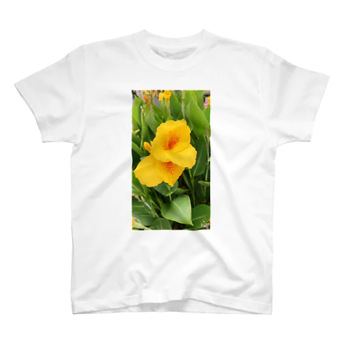 ビタミンフラワー🌼 スタンダードTシャツ