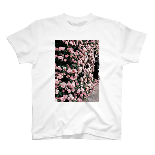 花T スタンダードTシャツ