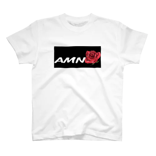 AMN スタンダードTシャツ