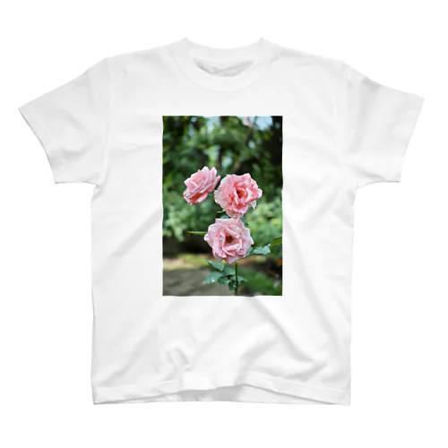 ちょい枯れた薔薇 スタンダードTシャツ