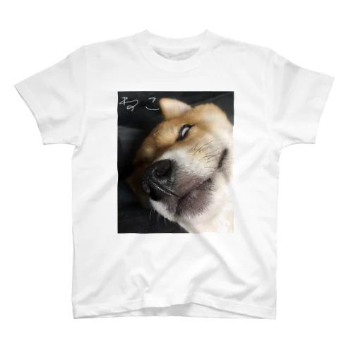 柴犬しか勝たん_ねこ Regular Fit T-Shirt